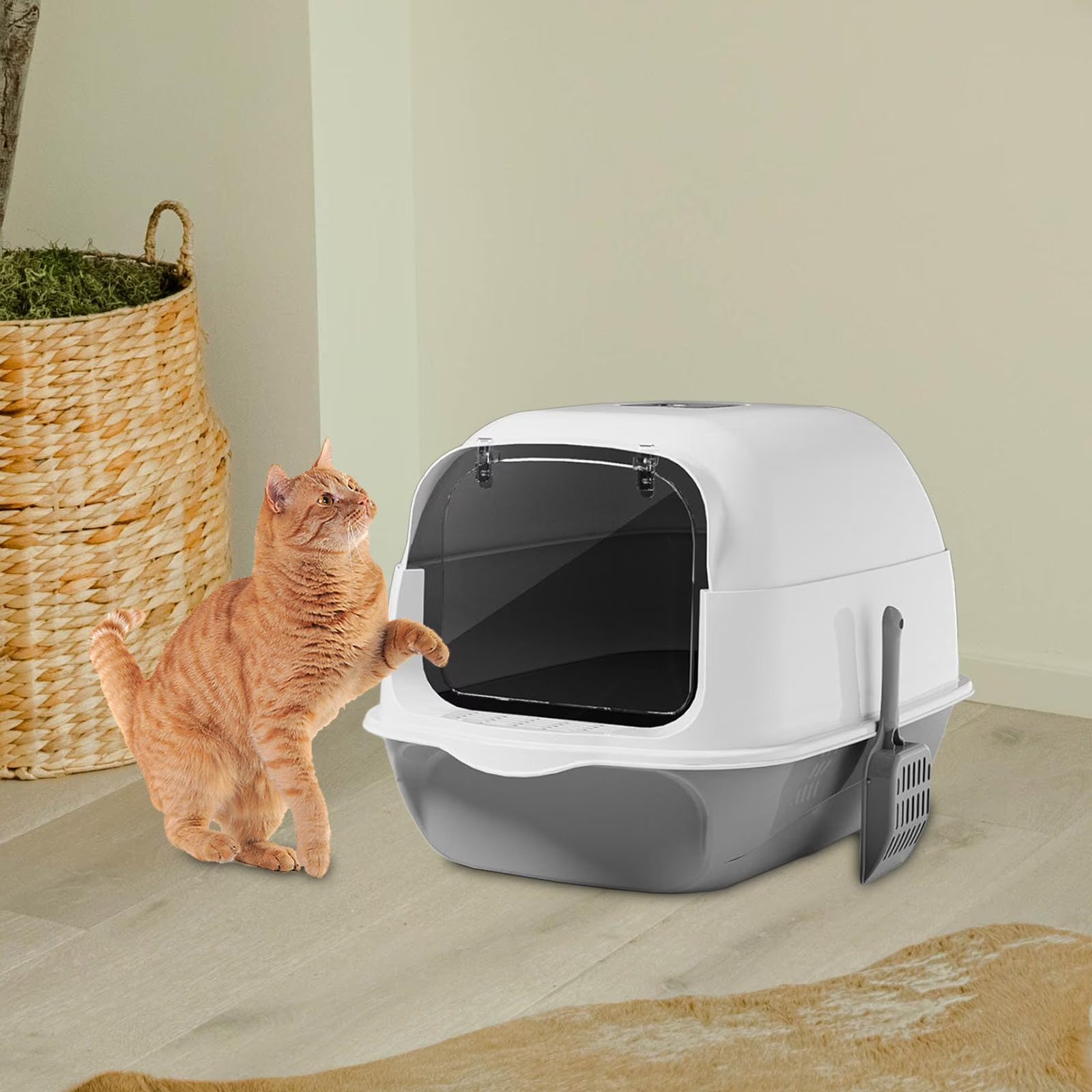 Toilette per Gatti Chiusa con Sportello | Grigio | 50×35×35 cm