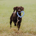 Aime ta patte - Jouet pour chien en caoutchouc naturel
