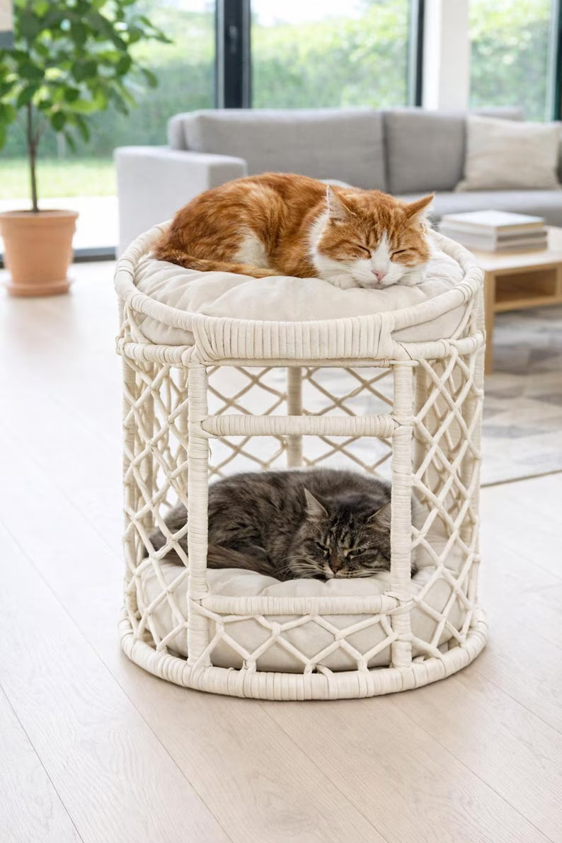 Cucce a due livelli per gatti da interno - mobili in vimini per animali domestici