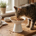 Ciotola rialzata per gatti, mangiatoia alta scanalata su piedistallo per gattini, ciotola a festoni a forma di fiore,